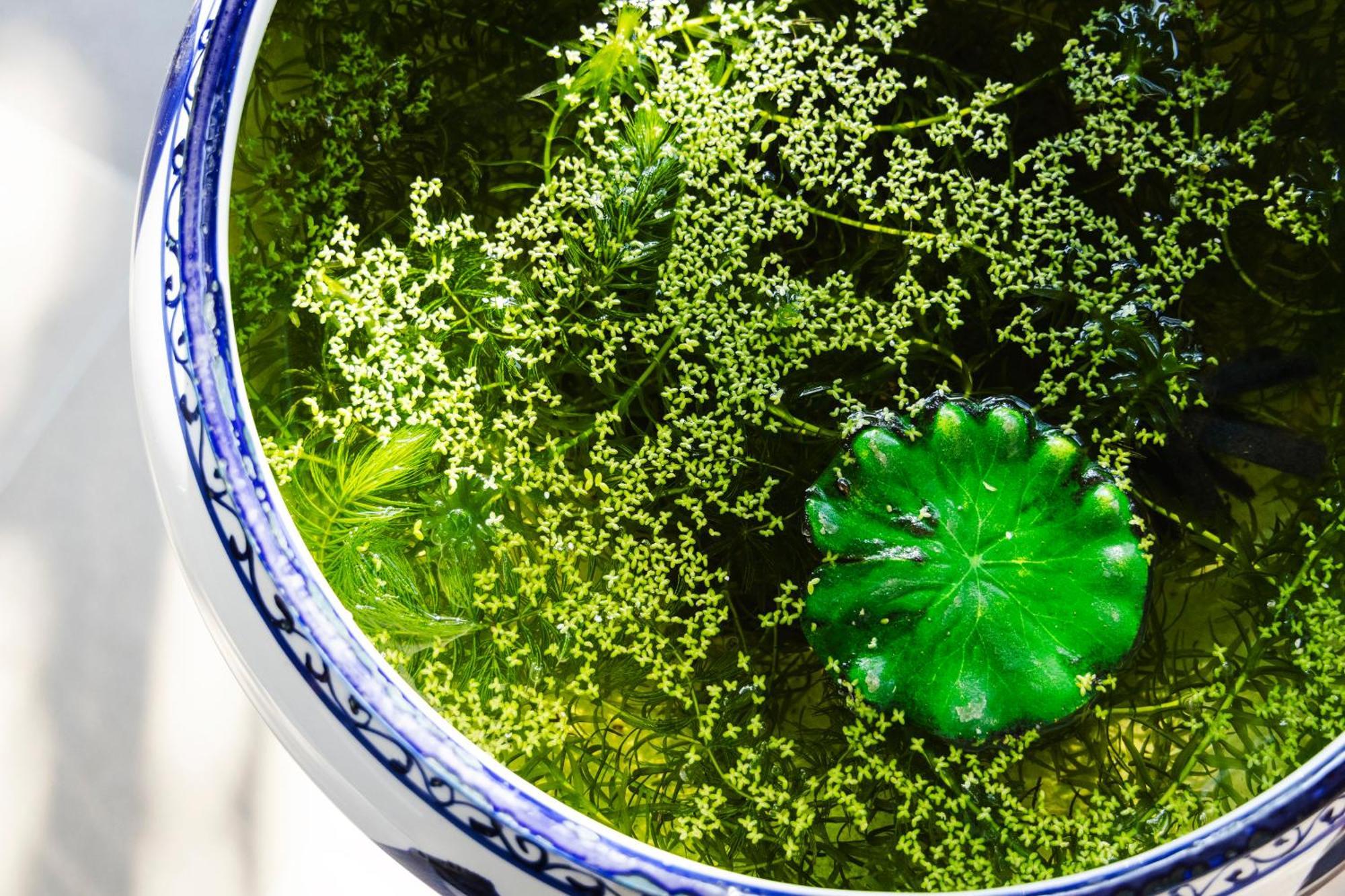 Ryokan Marumo Тотори Екстериор снимка